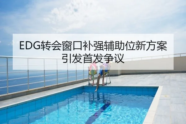 EDG转会窗口补强辅助位新方案引发首发争议